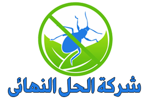 شركة الحل النهائي