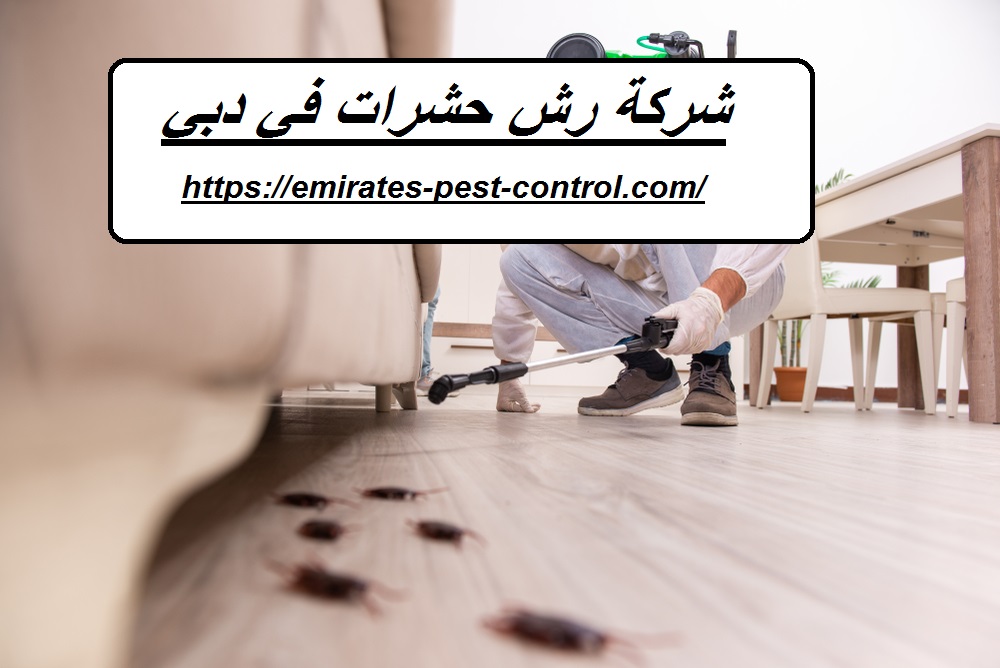 شركة رش حشرات في دبي |0506311494| مكافحة حشرات