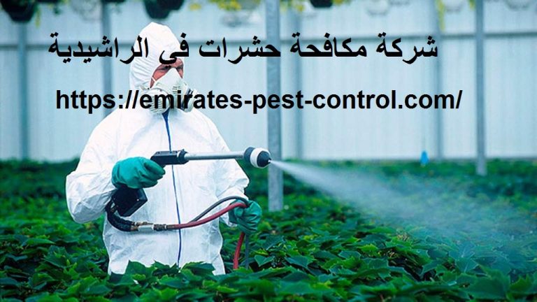 شركة مكافحة حشرات في الراشيدية