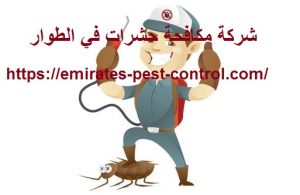 شركة مكافحة حشرات في الطوار