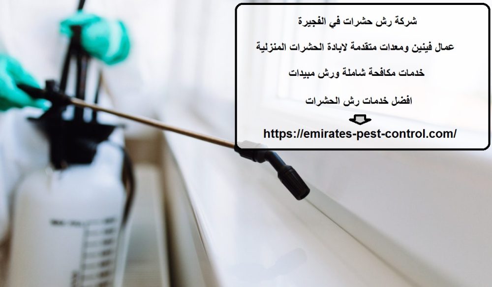شركة رش حشرات في الفجيرة