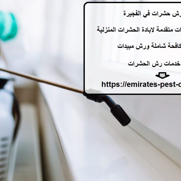 شركة رش حشرات في الفجيرة