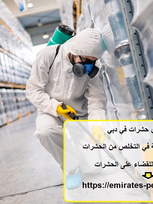 شركة رش حشرات في دبي