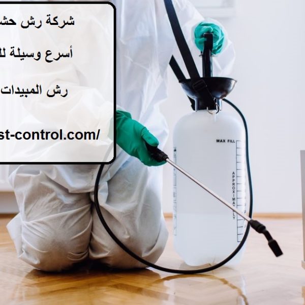 شركة رش حشرات في راس الخيمة