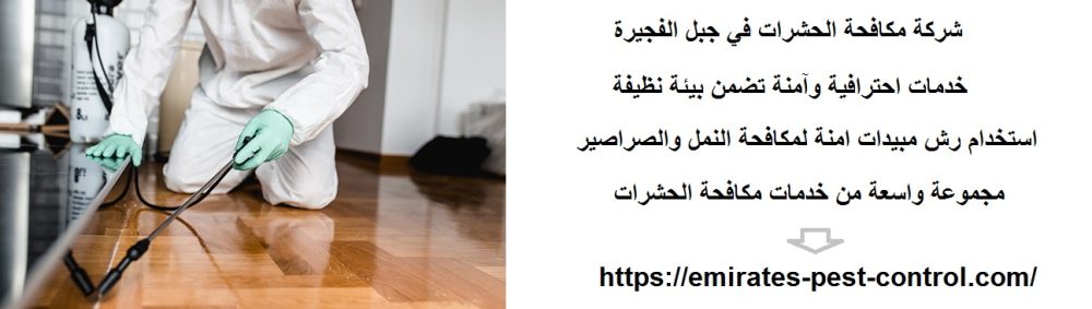 شركة مكافحة الحشرات في جبل الفجيرة