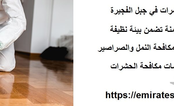 شركة مكافحة الحشرات في جبل الفجيرة