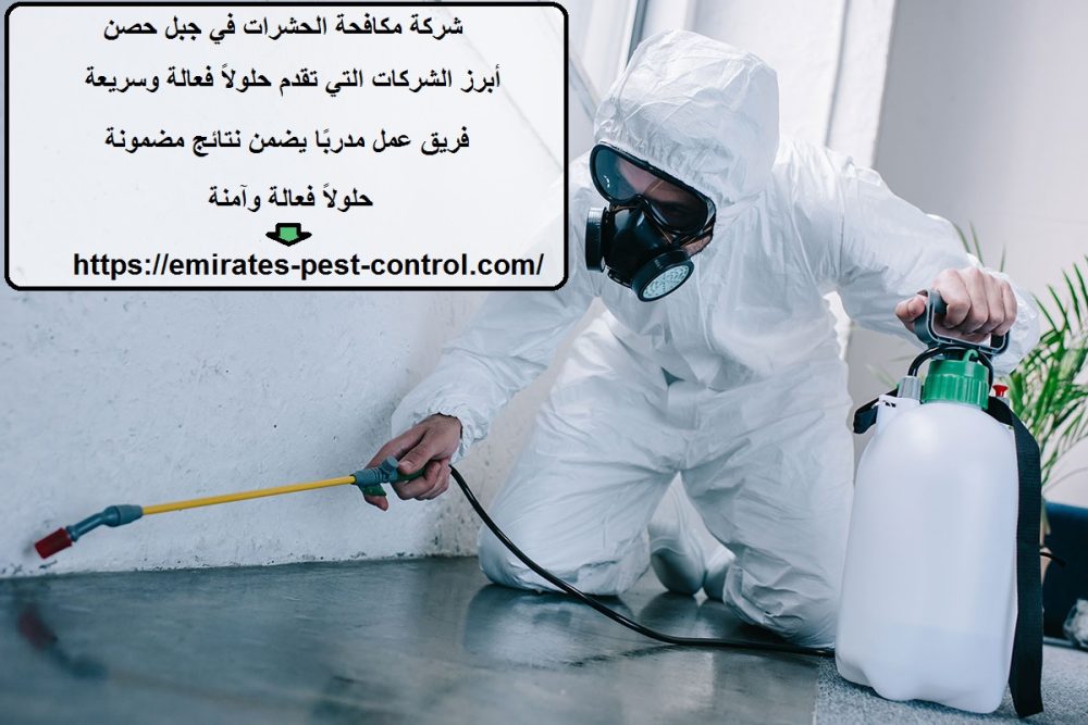 شركة مكافحة الحشرات في جبل حصن