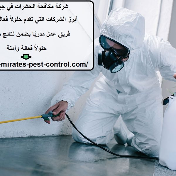 شركة مكافحة الحشرات في جبل حصن