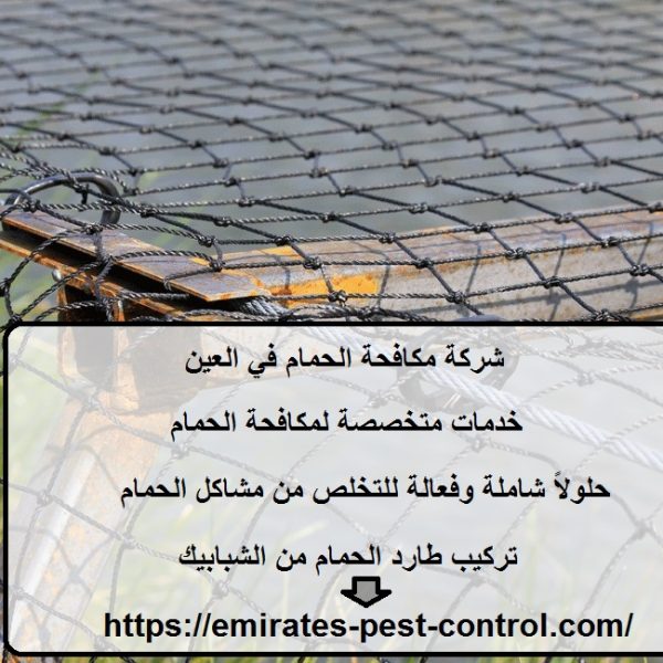 شركة مكافحة الحمام في العين