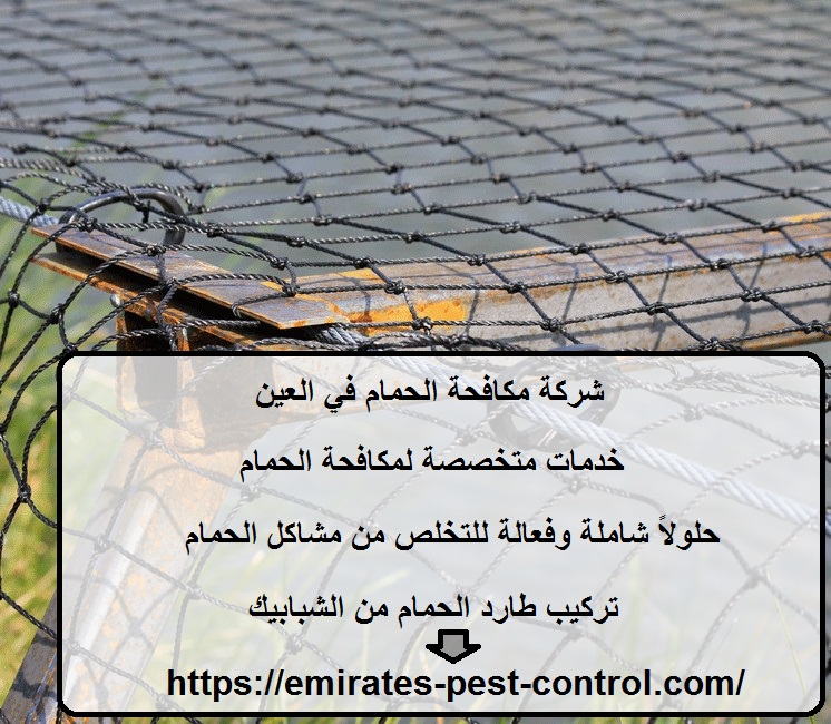 شركة مكافحة الحمام في العين