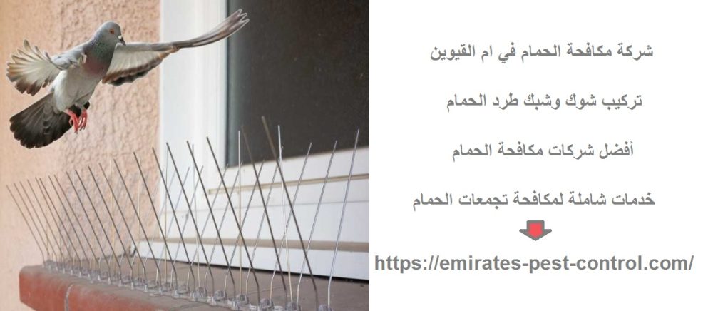 شركة مكافحة الحمام في ام القيوين