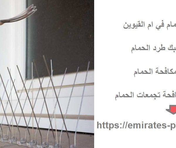 شركة مكافحة الحمام في ام القيوين