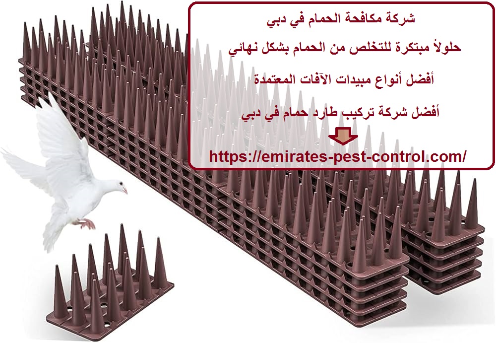 شركة مكافحة الحمام في دبي