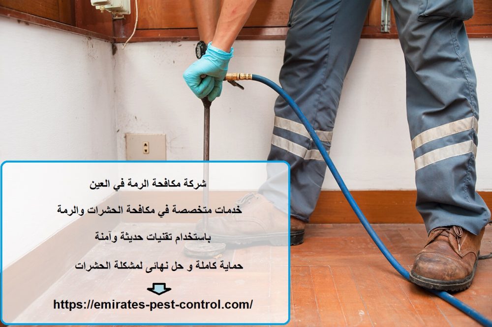 شركة مكافحة الرمة في العين