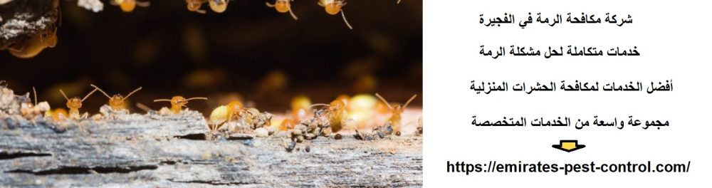 شركة مكافحة الرمة في الفجيرة
