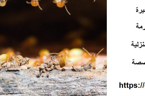 شركة مكافحة الرمة في الفجيرة