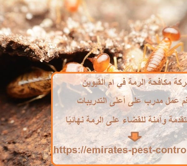 شركة مكافحة الرمة في ام القيوين