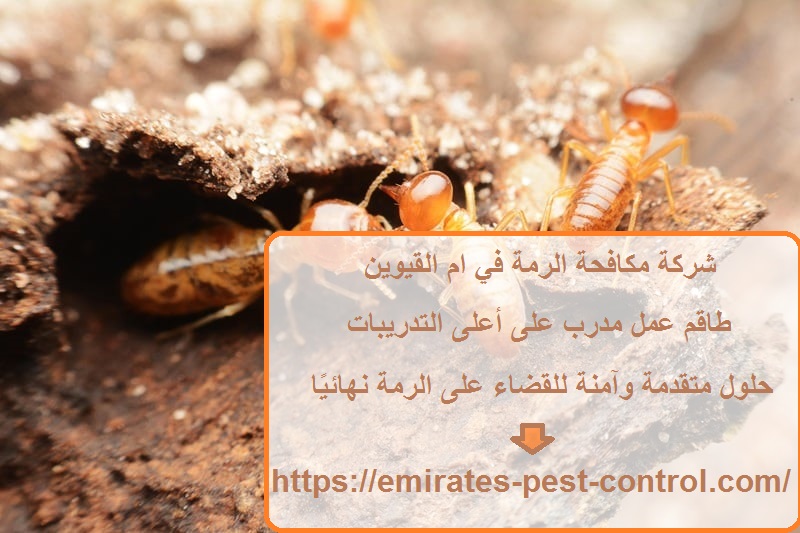 شركة مكافحة الرمة في ام القيوين