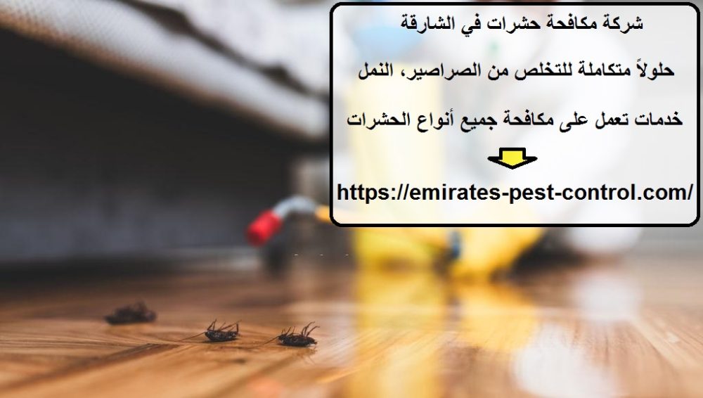 شركة مكافحة حشرات في الشارقة