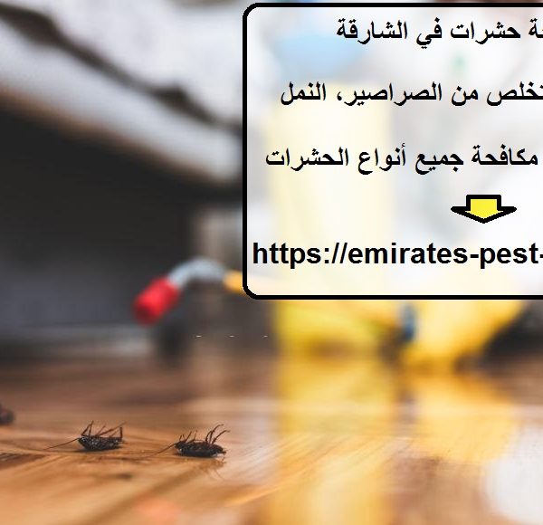 شركة مكافحة حشرات في الشارقة