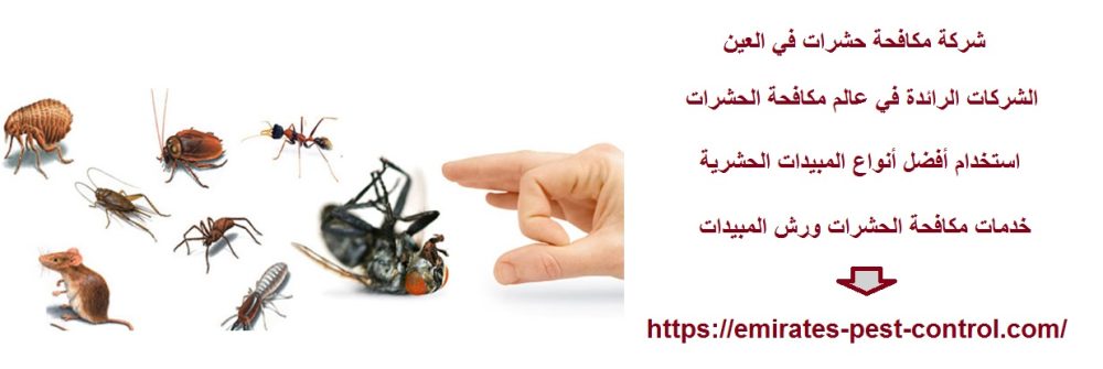 شركة مكافحة حشرات في العين