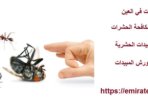 شركة مكافحة حشرات في العين