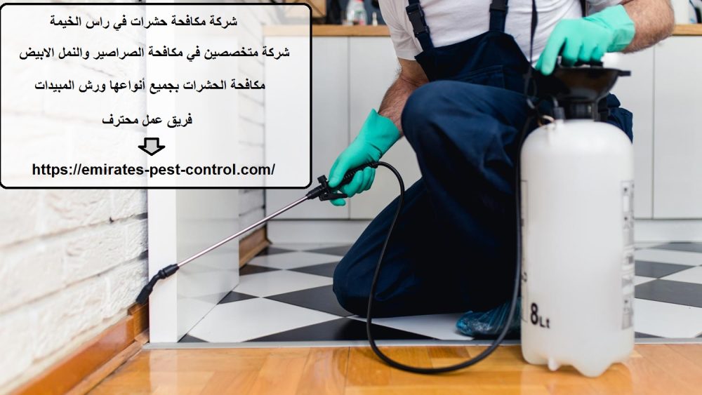 شركة مكافحة حشرات في راس الخيمة