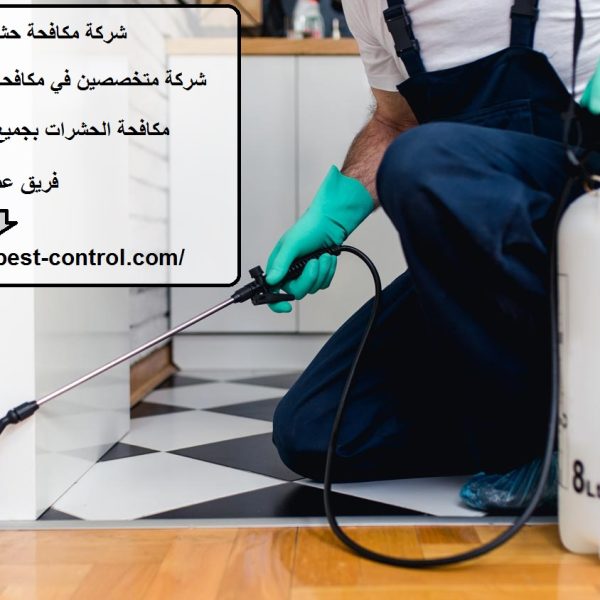 شركة مكافحة حشرات في راس الخيمة