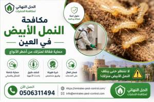 مكافحة النمل الأبيض في العين