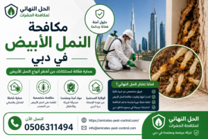 مكافحة النمل الأبيض في دبي