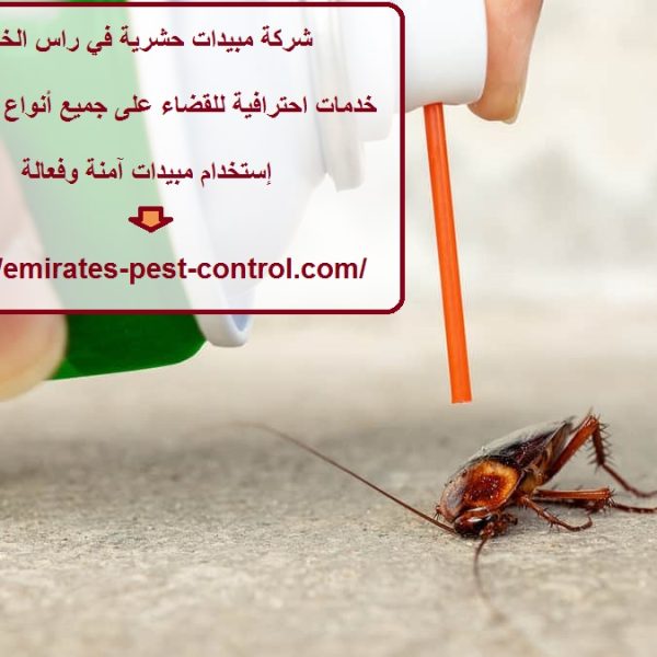 شركة مبيدات حشرية في راس الخيمة