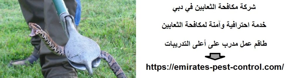 شركة مكافحة الثعابين في دبي