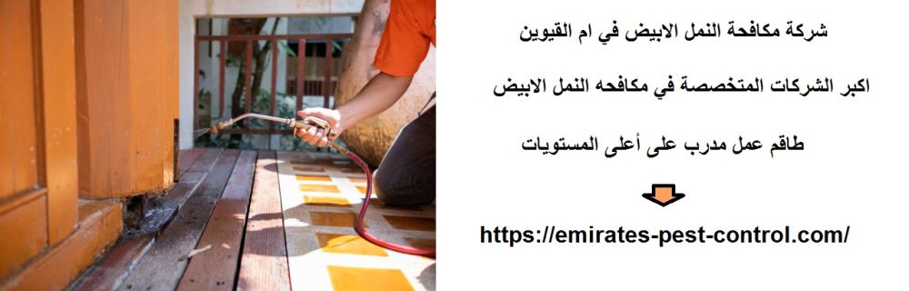 شركة مكافحة النمل الابيض في ام القيوين