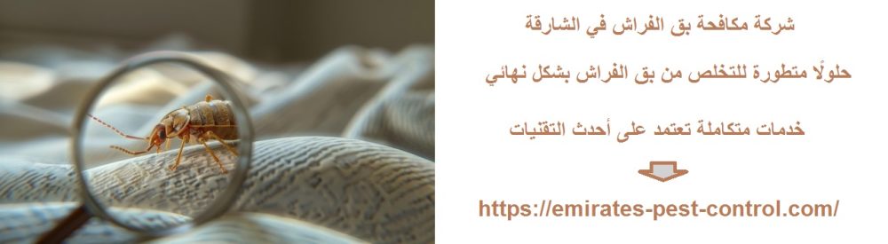 شركة مكافحة بق الفراش في الشارقة