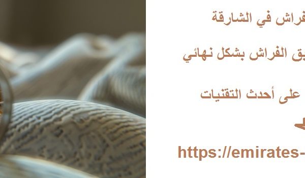 شركة مكافحة بق الفراش في الشارقة