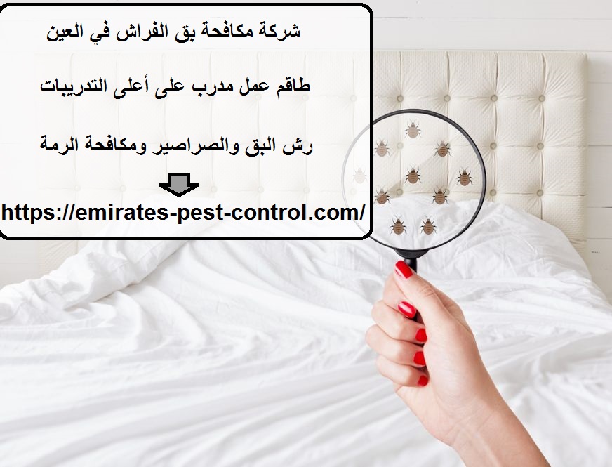 شركة مكافحة بق الفراش في العين