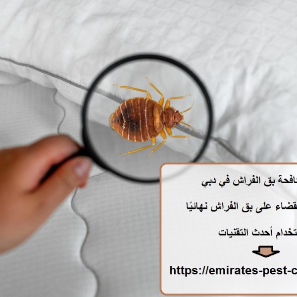 شركة مكافحة بق الفراش في دبي