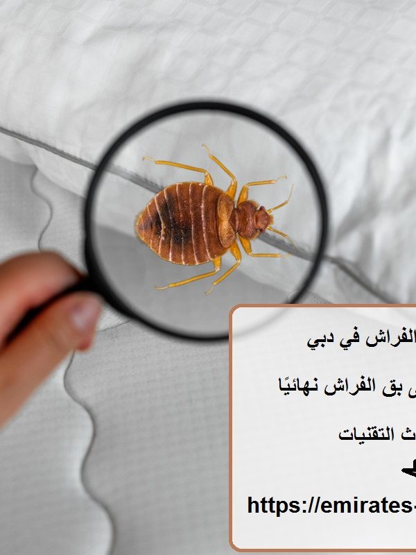 شركة مكافحة بق الفراش في دبي