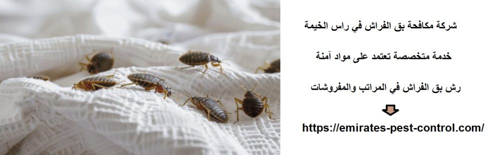 شركة مكافحة بق الفراش في راس الخيمة