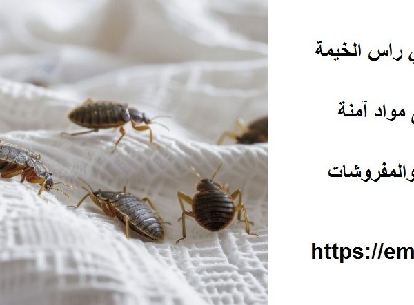 شركة مكافحة بق الفراش في راس الخيمة