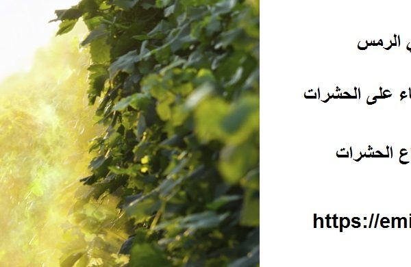 شركة مكافحة حشرات في الرمس