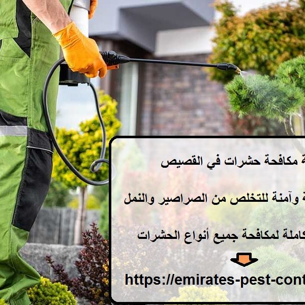 شركة مكافحة حشرات في القصيص