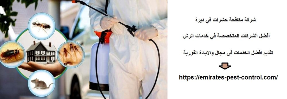 شركة مكافحة حشرات في ديرة
