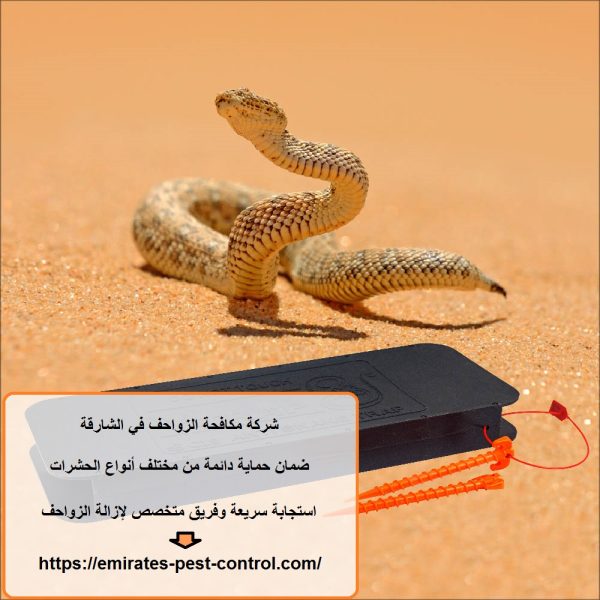 شركة مكافحة الزواحف في الشارقة
