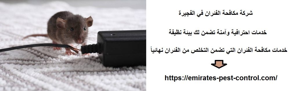 شركة مكافحة الفئران في الفجيرة