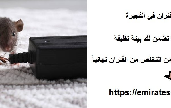 شركة مكافحة الفئران في الفجيرة